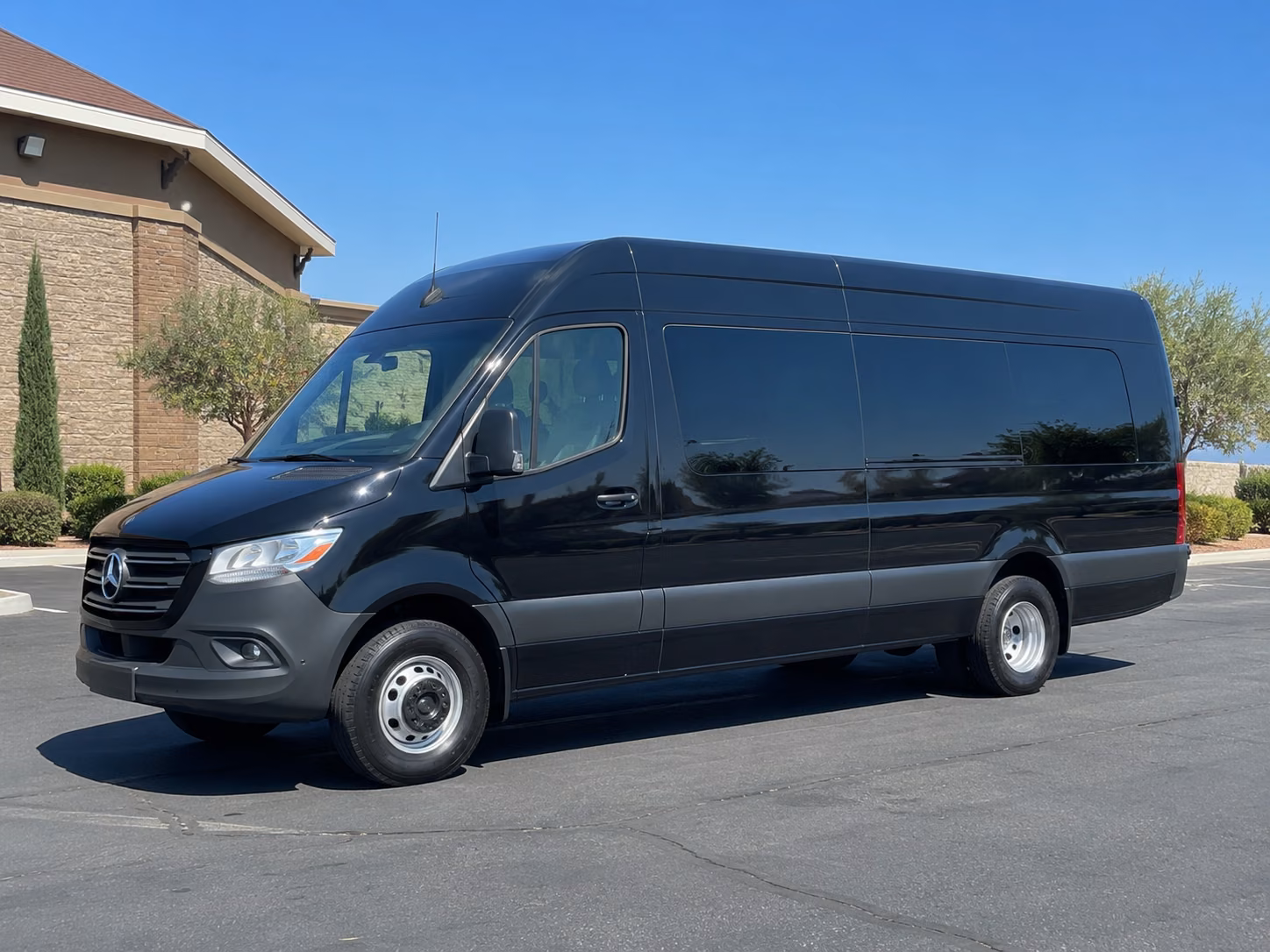 savannah 12 passenger sprinter van