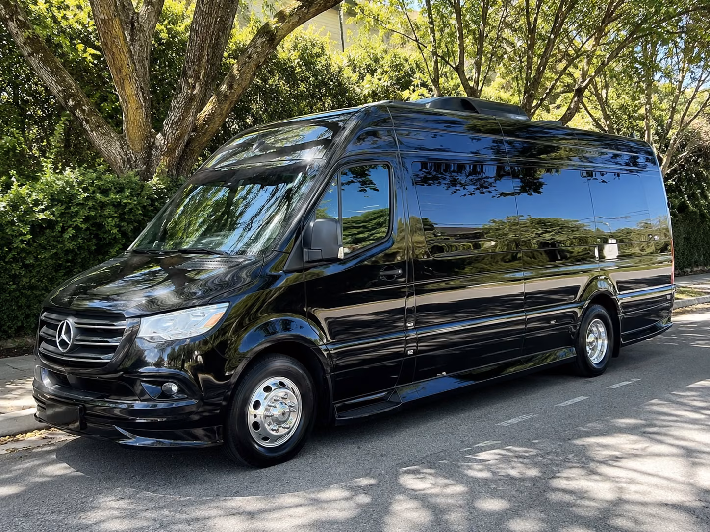 savannah 15 passenger sprinter van