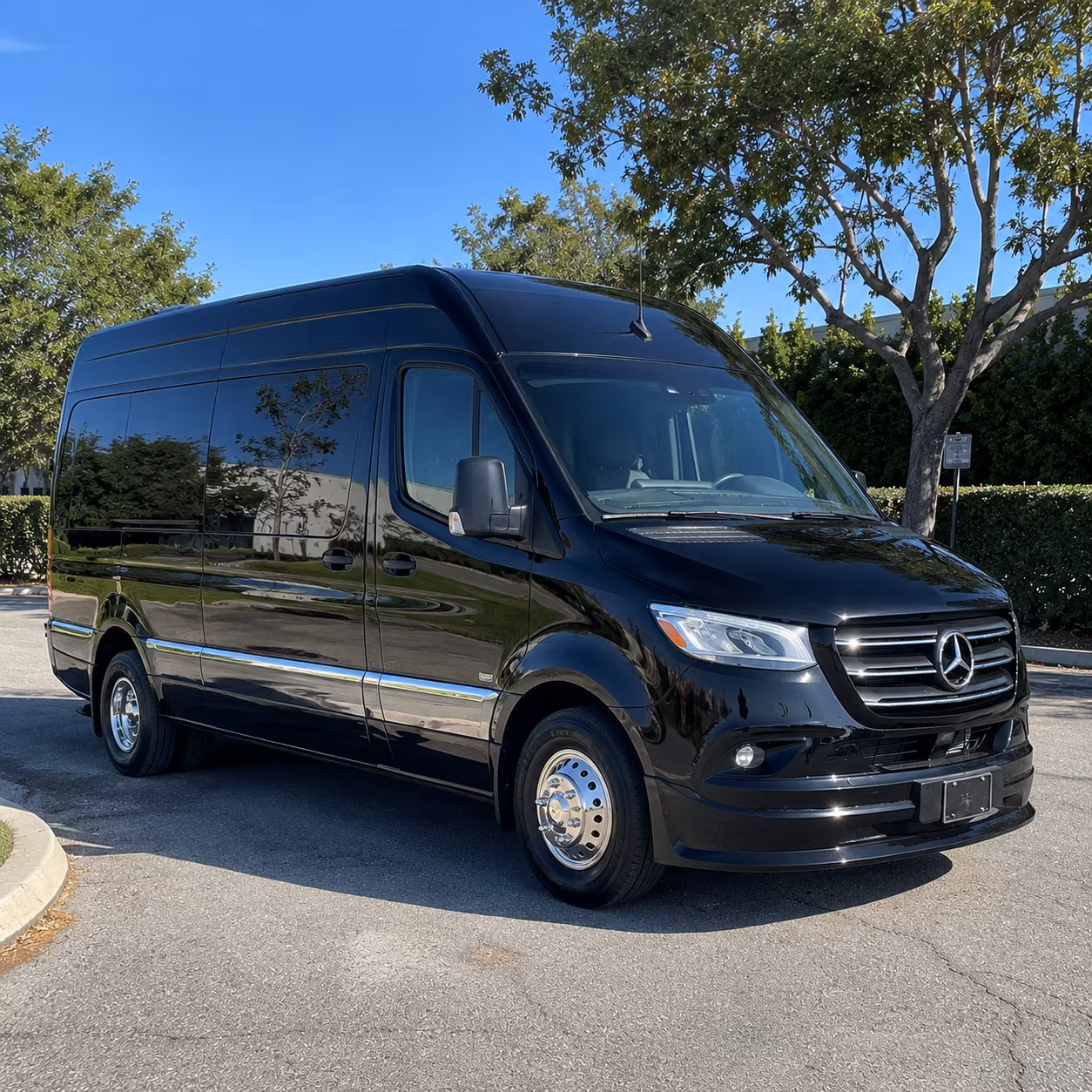 savannah corporate sprinter van service