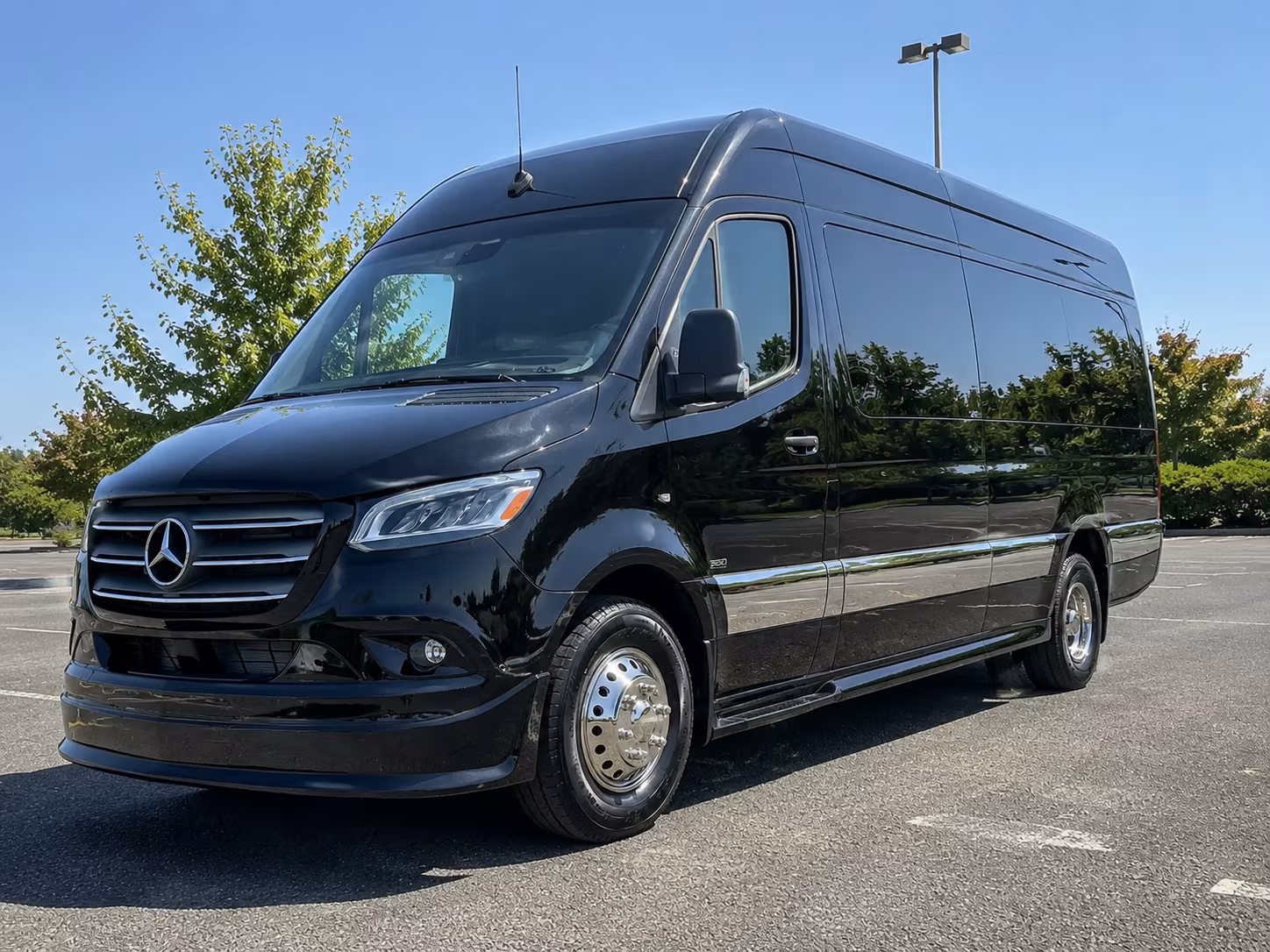 savannah sprinter limousine